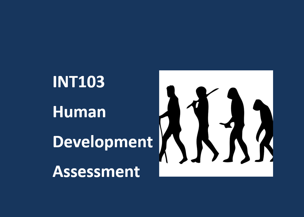 Development Assessment Examples